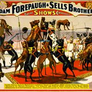Picture Of Sells Brothers Circus With Great Danes 1898